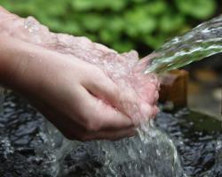 Значение воды в жизни человека – «потому что без воды… В каких жизненных процессах вода играет роль